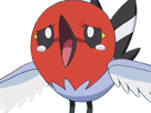 passerouge-fletchling-yayakoma-pokemon-pkm-jeu-anime-type-normal-vol-6g-kalos-rougegorge