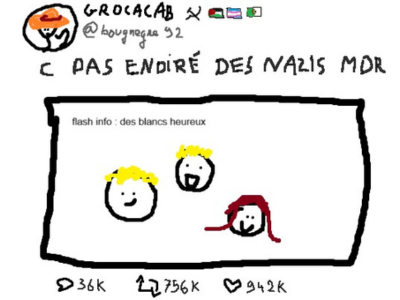 twitter x reseau social reseaux sociaux gauchiste woke nazi facho racisme raciste anti blanc anti-blanc