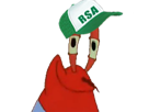 krabs-capitaine-cpt-crabe-rsa-casquette-sourire-souriant-tare-fou-malade-dangereux-psycopathe-paye
