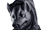 masque-capuche-noir-effrayant-sombre-personne-mysterieuse-anonyme-satanique-culte-secte-cochon-porc