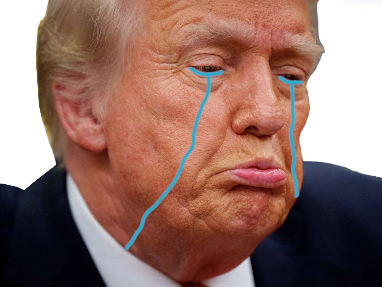 trump pleure droitarde 2024 democrate republicain drumpft defaite gauchiste winning