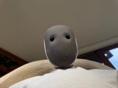 neo 1x robot humanoide domestique autonome regarde regard de haut