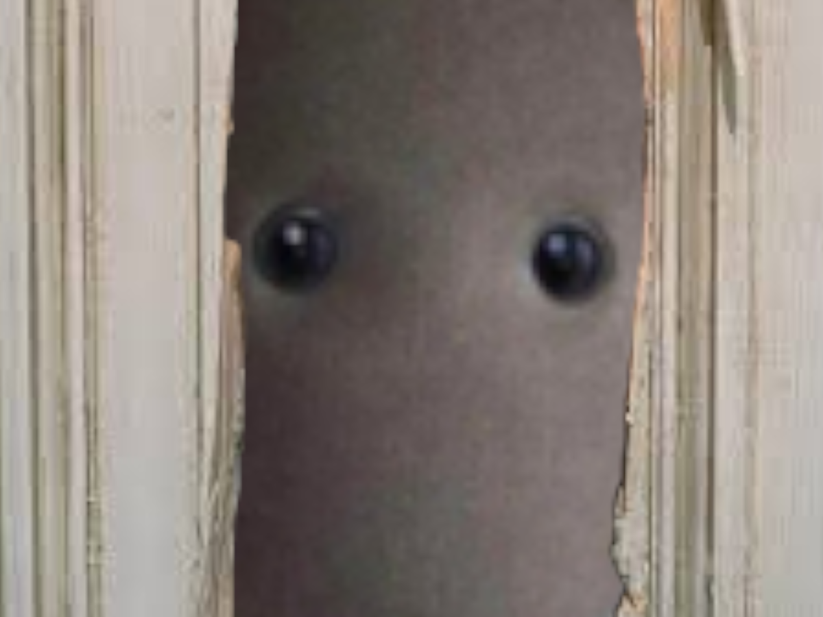 neo 1x robot humanoide domestique autonome jack nicholson fou shining