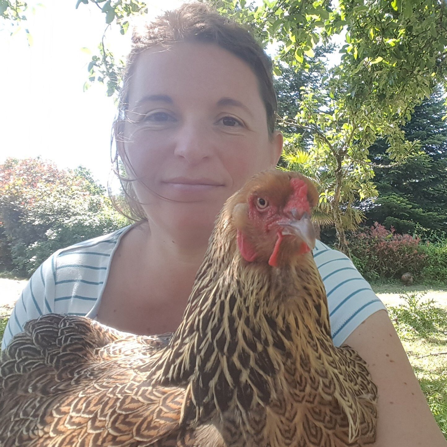 cecile perrichon tribu gigalax cassos french dream coach mindset audace joyeuse ponzi bus inondation aah