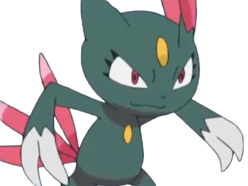 farfuret sneasel nyula pokemon pkm jeu anime type tenebres glace 2g johto grifaceree