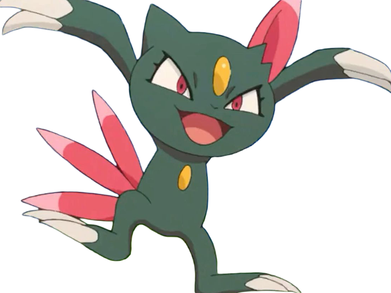 farfuret sneasel nyula pokemon pkm jeu anime type tenebres glace 2g johto grifaceree
