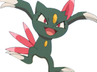 farfuret-sneasel-nyula-pokemon-pkm-jeu-anime-type-tenebres-glace-2g-johto-grifaceree