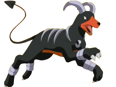 demolosse houndoom hellgar pokemon pkm type tenebres feu 2g johto sombre