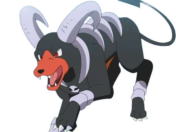demolosse houndoom hellgar pokemon pkm type tenebres feu 2g johto sombre