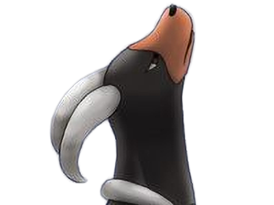 demolosse houndoom hellgar pokemon pkm type tenebres feu 2g johto sombre