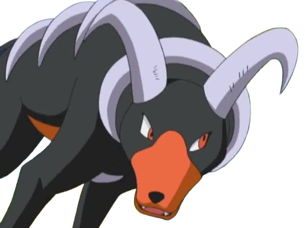 demolosse houndoom hellgar pokemon pkm type tenebres feu 2g johto sombre