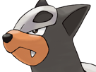 malosse-houndour-delvil-pokemon-pkm-jeu-anime-type-tenebres-feu-2g-johto-sombre