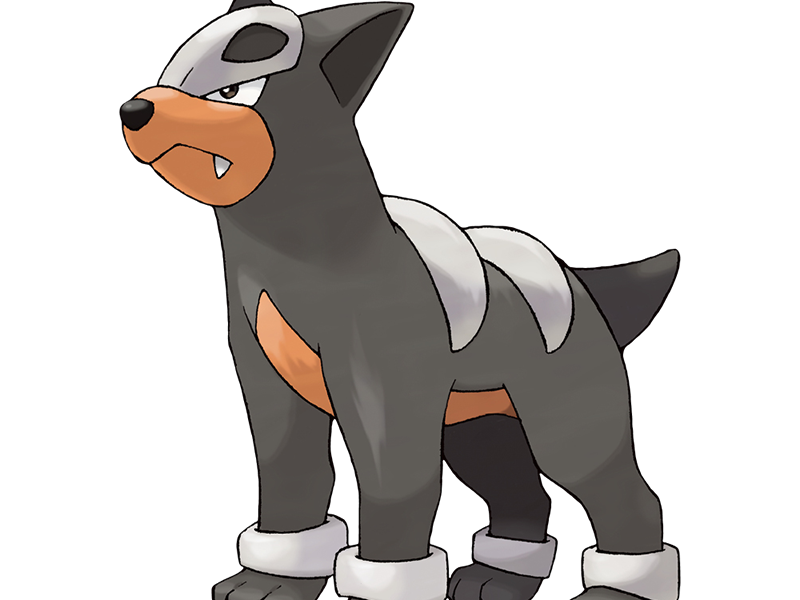 malosse houndour delvil pokemon pkm jeu anime type tenebres feu 2g johto sombre