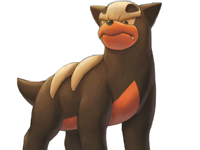 malosse houndour delvil pokemon pkm jeu anime type tenebres feu 2g johto sombre