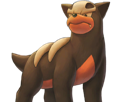 malosse-houndour-delvil-pokemon-pkm-jeu-anime-type-tenebres-feu-2g-johto-sombre