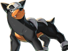 malosse-houndour-delvil-pokemon-pkm-jeu-anime-type-tenebres-feu-2g-johto-sombre