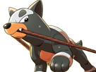 malosse-houndour-delvil-pokemon-pkm-jeu-anime-type-tenebres-feu-2g-johto-sombre