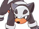 malosse-houndour-delvil-pokemon-pkm-jeu-anime-type-tenebres-feu-2g-johto-sombre