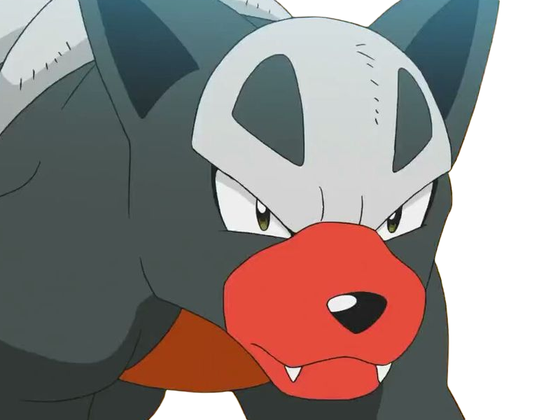 malosse houndour delvil pokemon pkm jeu anime type tenebres feu 2g johto sombre