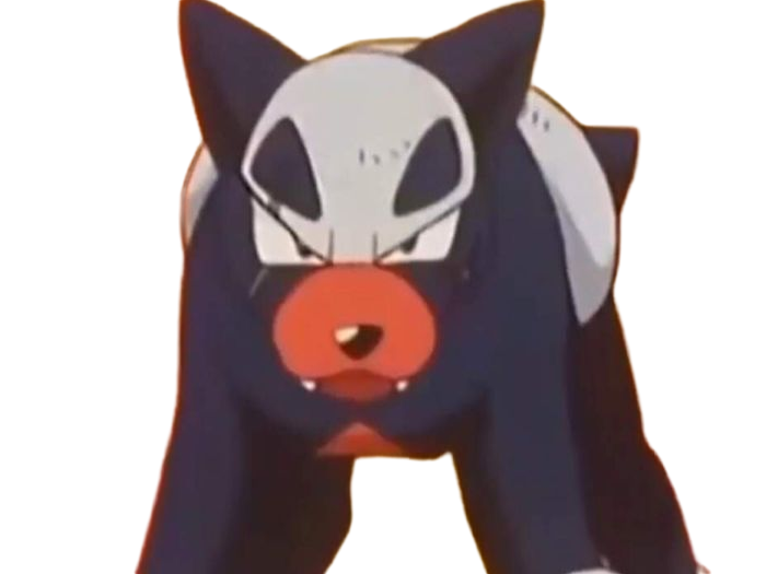 malosse houndour delvil pokemon pkm jeu anime type tenebres feu 2g johto sombre