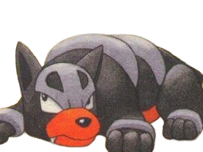 malosse houndour delvil pokemon pkm jeu anime type tenebres feu 2g johto sombre