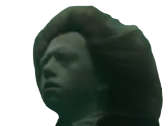 tf1 harry potter ron rage cupe de feu weasley ronald