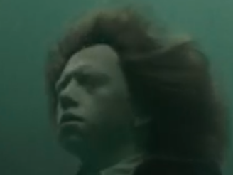 tf1 harry potter ron rage cupe de feu weasley ronald