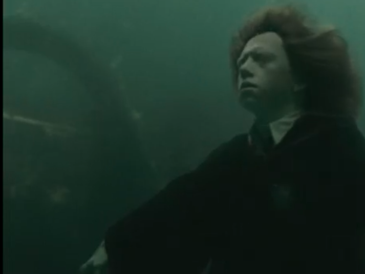 tf1 harry potter ron rage cupe de feu weasley ronald