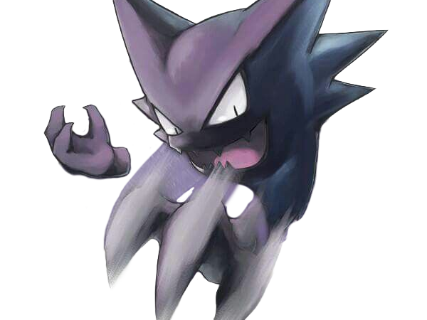 spectrum haunter ghost pokemon pkm jeu anime type spectre poison 1g kanto gaz