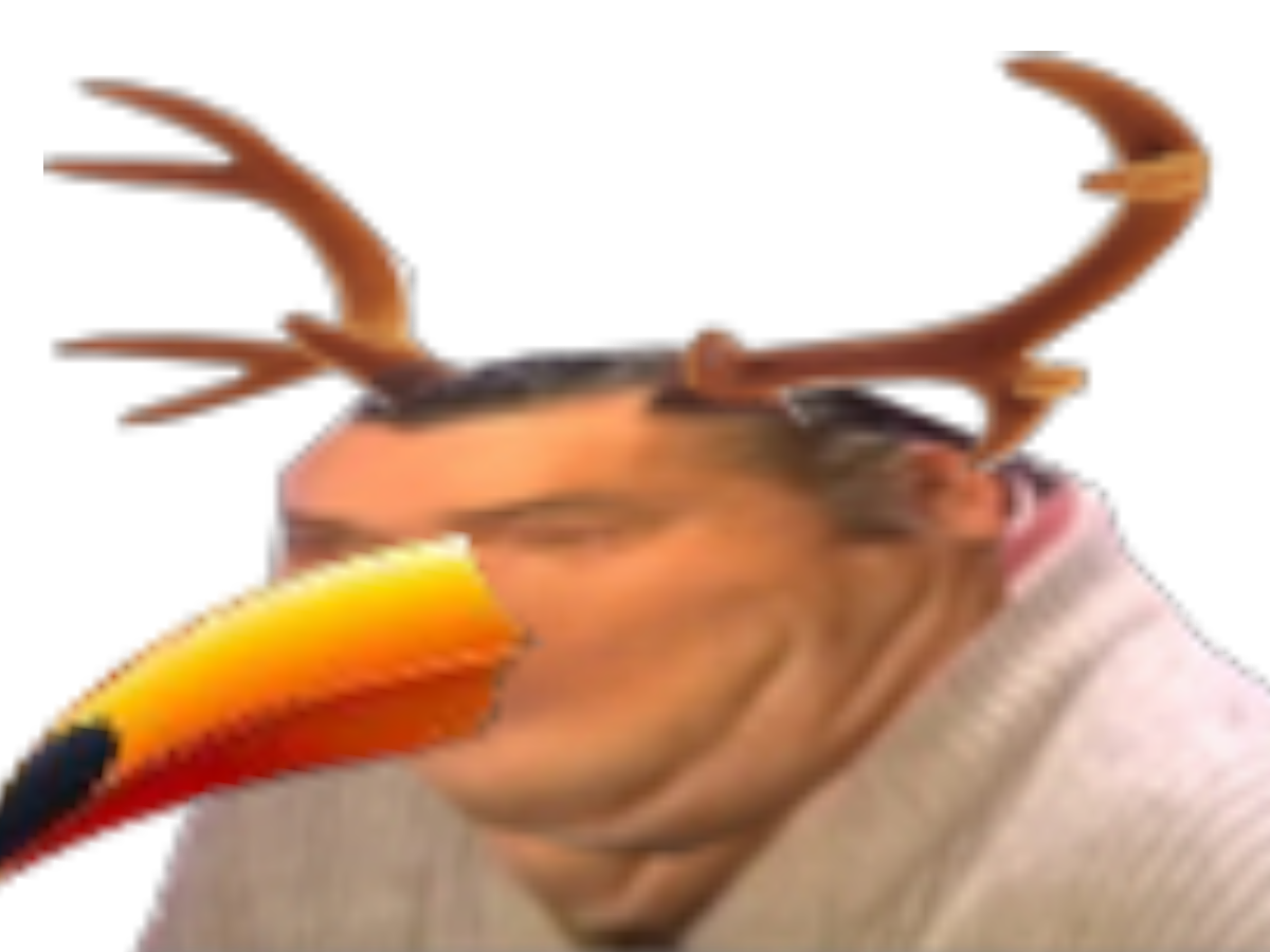 risitas ahi post ou cancer bec toucan corne cornes bois cerf