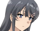 sakurajima-mai-seishun-buta-yarou-aobuta-anime-manga-waifu-femme-actrice-lyceenne-bunny-girl-cheveux-noirs-yeux-violets