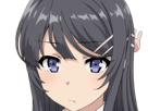 sakurajima-mai-seishun-buta-yarou-aobuta-anime-manga-waifu-femme-actrice-lyceenne-bunny-girl-cheveux-noirs-yeux-violets