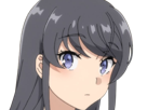 sakurajima-mai-seishun-buta-yarou-aobuta-anime-manga-waifu-femme-actrice-lyceenne-bunny-girl-cheveux-noirs-yeux-violets