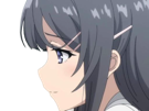 sakurajima-mai-seishun-buta-yarou-aobuta-anime-manga-waifu-femme-actrice-lyceenne-bunny-girl-cheveux-noirs-yeux-violets