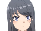 sakurajima-mai-seishun-buta-yarou-aobuta-anime-manga-waifu-femme-actrice-lyceenne-bunny-girl-cheveux-noirs-yeux-violets