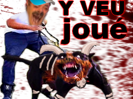 pitbull demolosse pokemon vlt kalos-sud kalos marlou pupuce