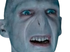 harry potter tf1 ordre pheonix 5 voldemort