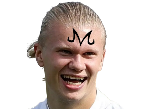 erling haaland super majin buu dbz babidi bibidi manchester city