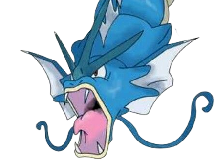 leviator gyarados pokemon pkm type eau vol 1g kanto terrifiant
