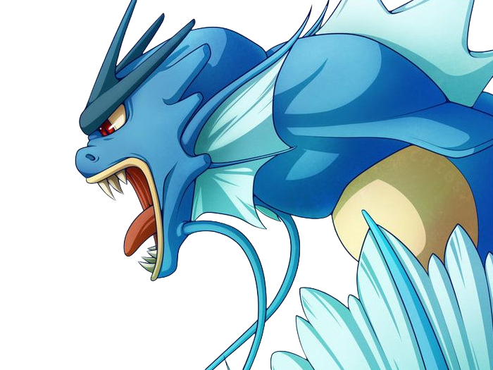 leviator gyarados pokemon pkm type eau vol 1g kanto terrifiant