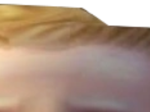 malfoy draco chacaleuriste