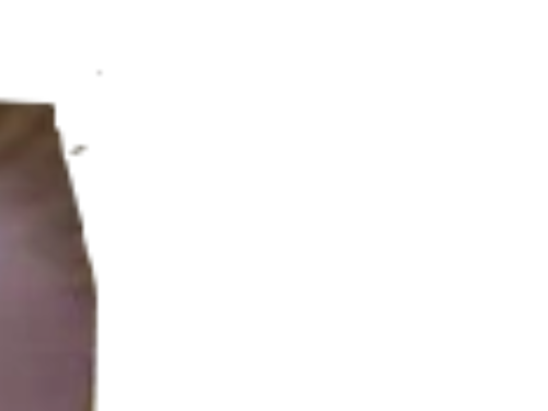 malfoy draco chacaleuriste