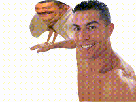gif-cr7-ronaldo-cristiano-oiseau-paz-bras