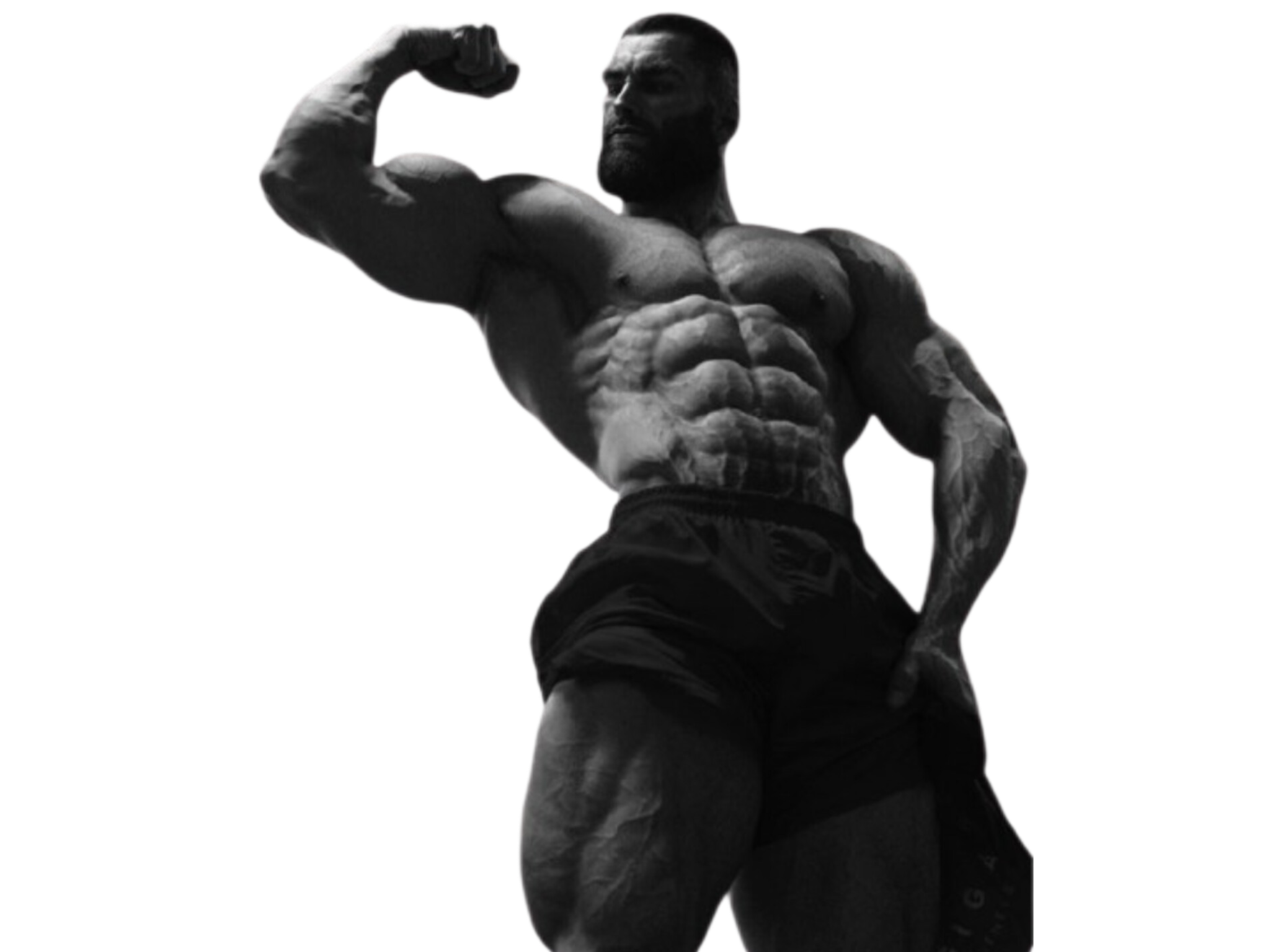 chad gigachad muscu alpha muscle abdo