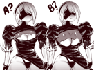 2b-nier-choix
