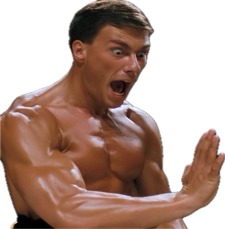 bloodsport van damme