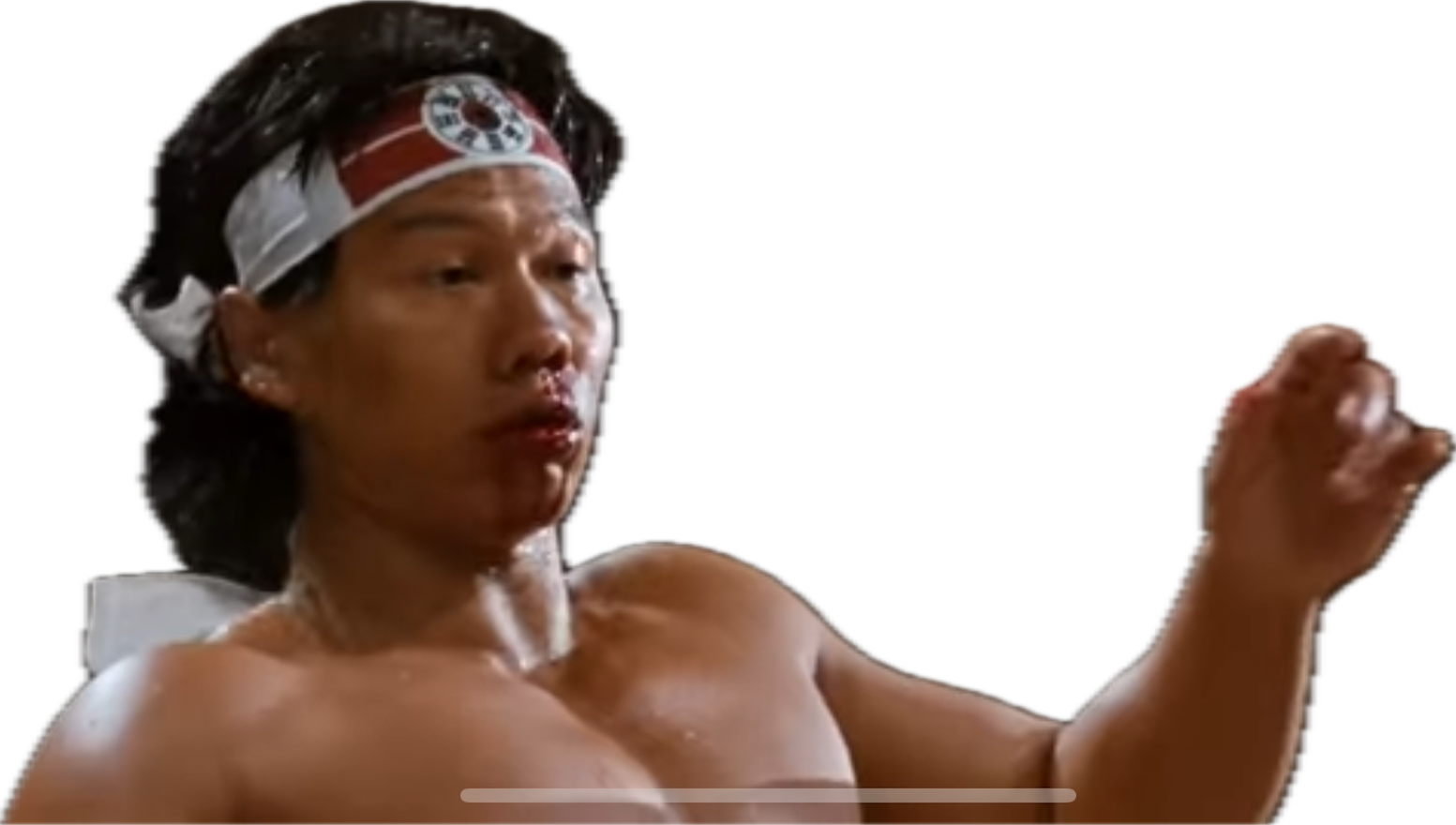 bloodsport bolo yeung