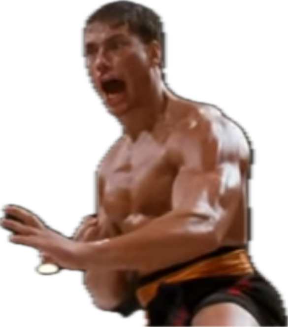 bloodsport van damme
