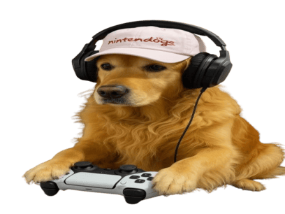 chien golden retriever manette jv jeu video nintendogs casquette animal mignon cute