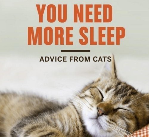 chillax repos pause bed rest couche sleep dodo zzz calm izi sueno allonge ronfle rever